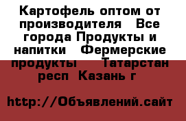 Картофель оптом от производителя - Все города Продукты и напитки » Фермерские продукты   . Татарстан респ.,Казань г.